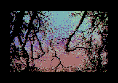 CRT Nova Art - The Woods