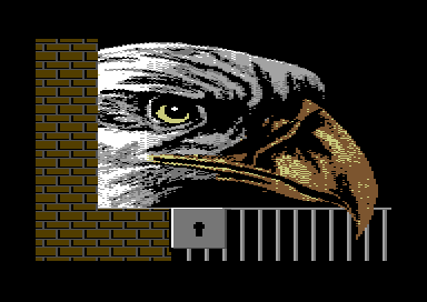 Birds of Prey - Bald Eagle