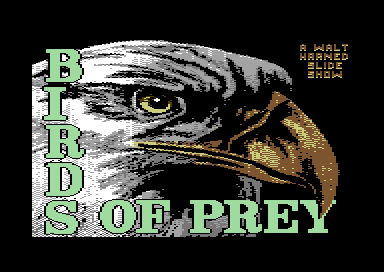 Birds of Prey - Title Card