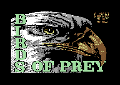 Birds of Prey - Title Card