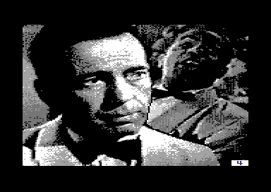Star Noir - Pic 4