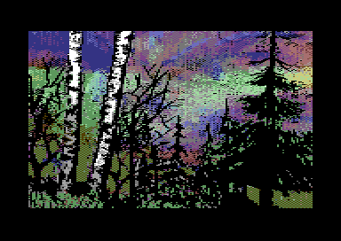 The Walt Harned Gallery - The Forest