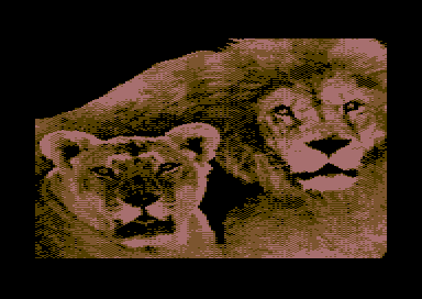 Walt's LOADSTAR Covers 2 - Lions