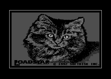 Walt's LOADSTAR Covers 2 - Cat