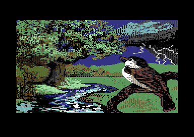 The Four Seasons - Pic 1