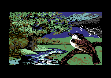 The Four Seasons - Pic 1