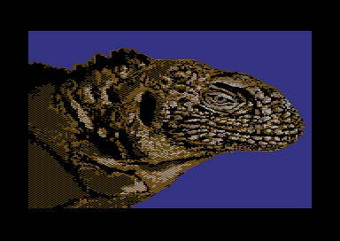 Pacific Adventure - The Eye of the Iguana