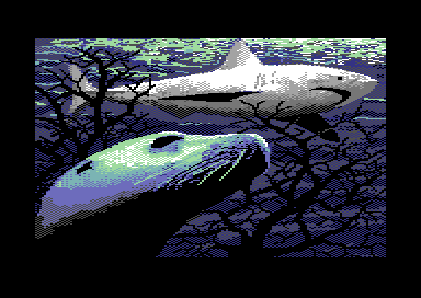 Pacific Adventure - The Seal and the Shark