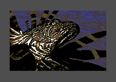 Pacific Adventure - The Times of the Turkey Fish