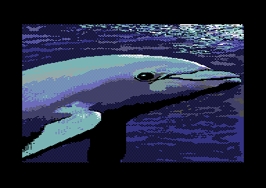 Pacific Adventure - The Daze of the Dolphin