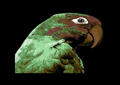Pacific Adventure - The Dawn of the Maltese Parrot