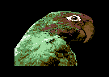 Pacific Adventure - The Dawn of the Maltese Parrot