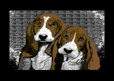 Walt's Workshop 4 - Dogs