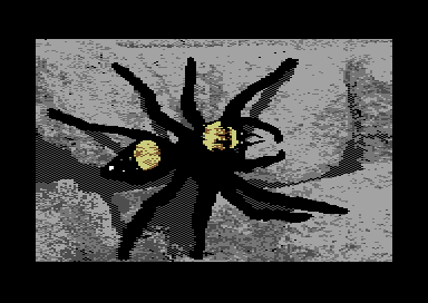 Nature's Spectrum - Spider
