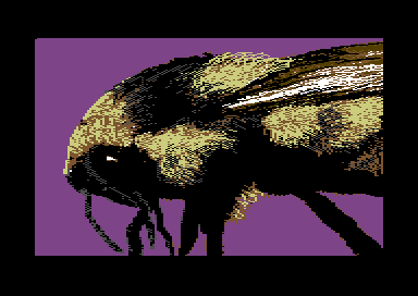 Nature's Spectrum - Bee