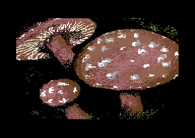 Nature's Spectrum - Mushroom
