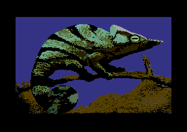 Nature's Spectrum - Lizard