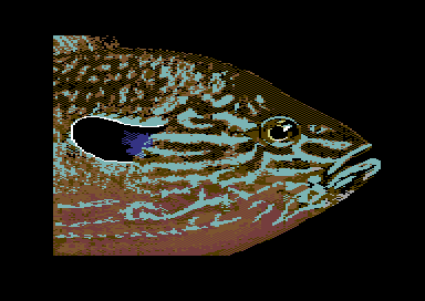 Nature's Spectrum - Fish