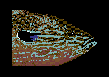 Nature's Spectrum - Fish