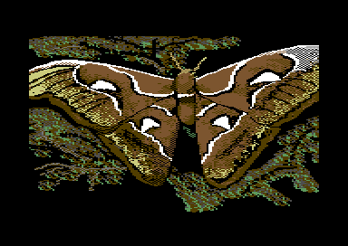 Nature's Spectrum - Moth