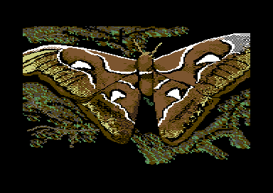 Nature's Spectrum - Moth