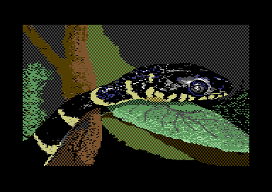 Nature's Spectrum - Snake