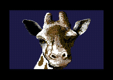 Walt's Wildlife Portraits - Giraffe