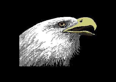 Walt's Wildlife Portraits - Bald Eagle