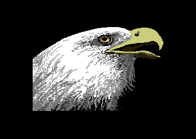 Walt's Wildlife Portraits - Bald Eagle
