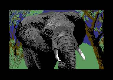Walt's Wildlife Portraits - Elephant