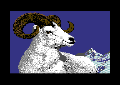 Walt's Wildlife Portraits - Ram