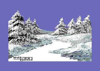 Art Hotel 2 - Snow
