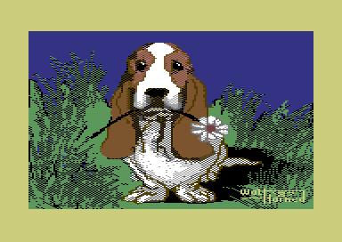 Art Hotel 2 - Hound