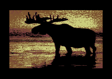 Bullwinkle at Sunset