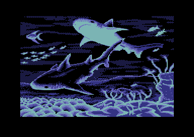 Wobbly Sharks - Pic