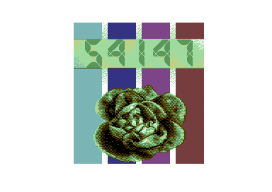 Kraut54147 - Cabbage
