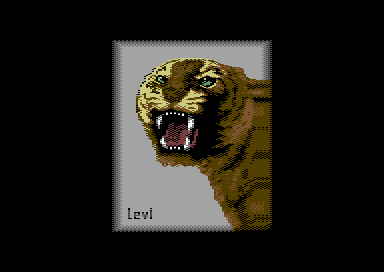 Surprise - Tiger
