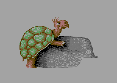 Singles Collection Volume 1 - Turtle