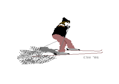 Shan's Art - Skiing