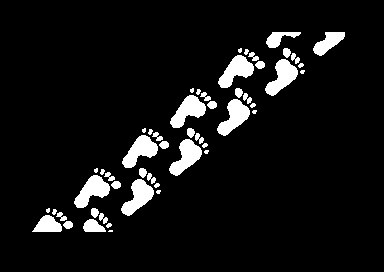 2011 - A Press Space Odyssey - Footprints