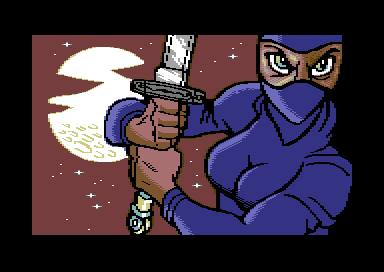 Ninja 2 - Wide Pic