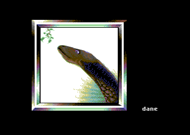 Portfolio II - Dino Portrait