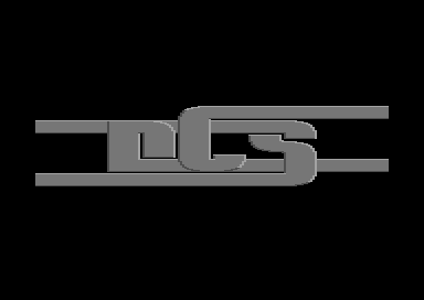 DCS Intro - DCS Logo