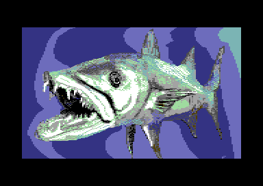 Baracuda meets Barracuda - Pic 2