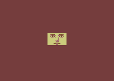 2^8 - Face