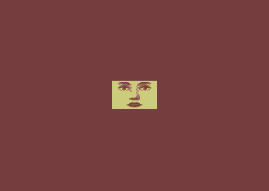 2^8 - Face