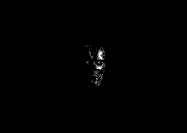 Endoskull