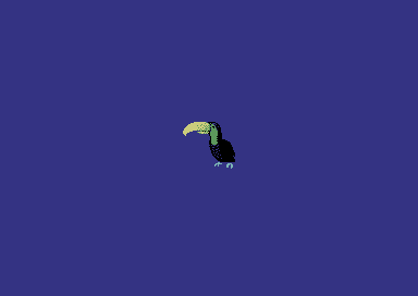 Tiki Pahu! - Parrot
