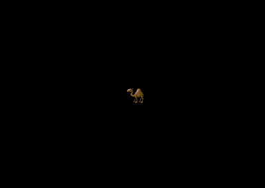 JANI 2 +2 [seuck] - Camel