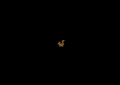 Tallefjant - Squirrel